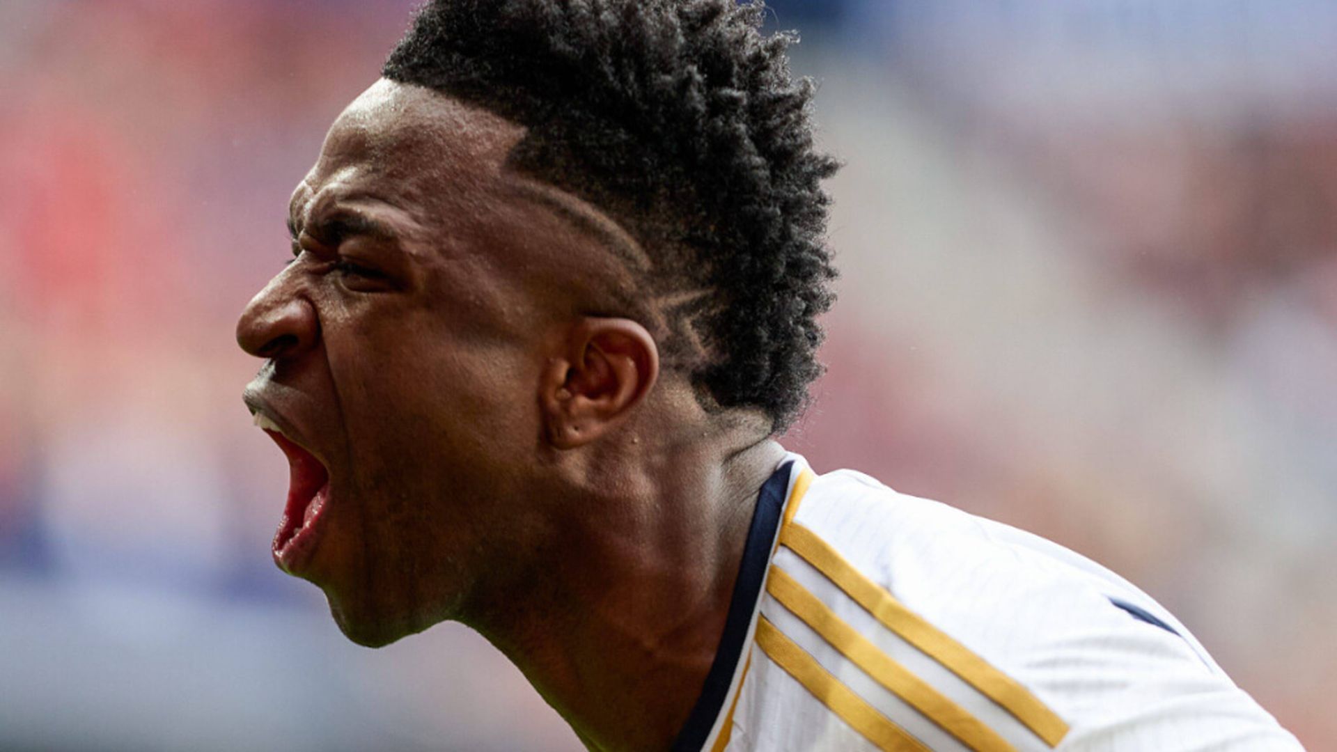 fotojet___2024_03_21t153836445jpg_001.jpg fotojet___2024_03_21t153836445jpg_001.jpg