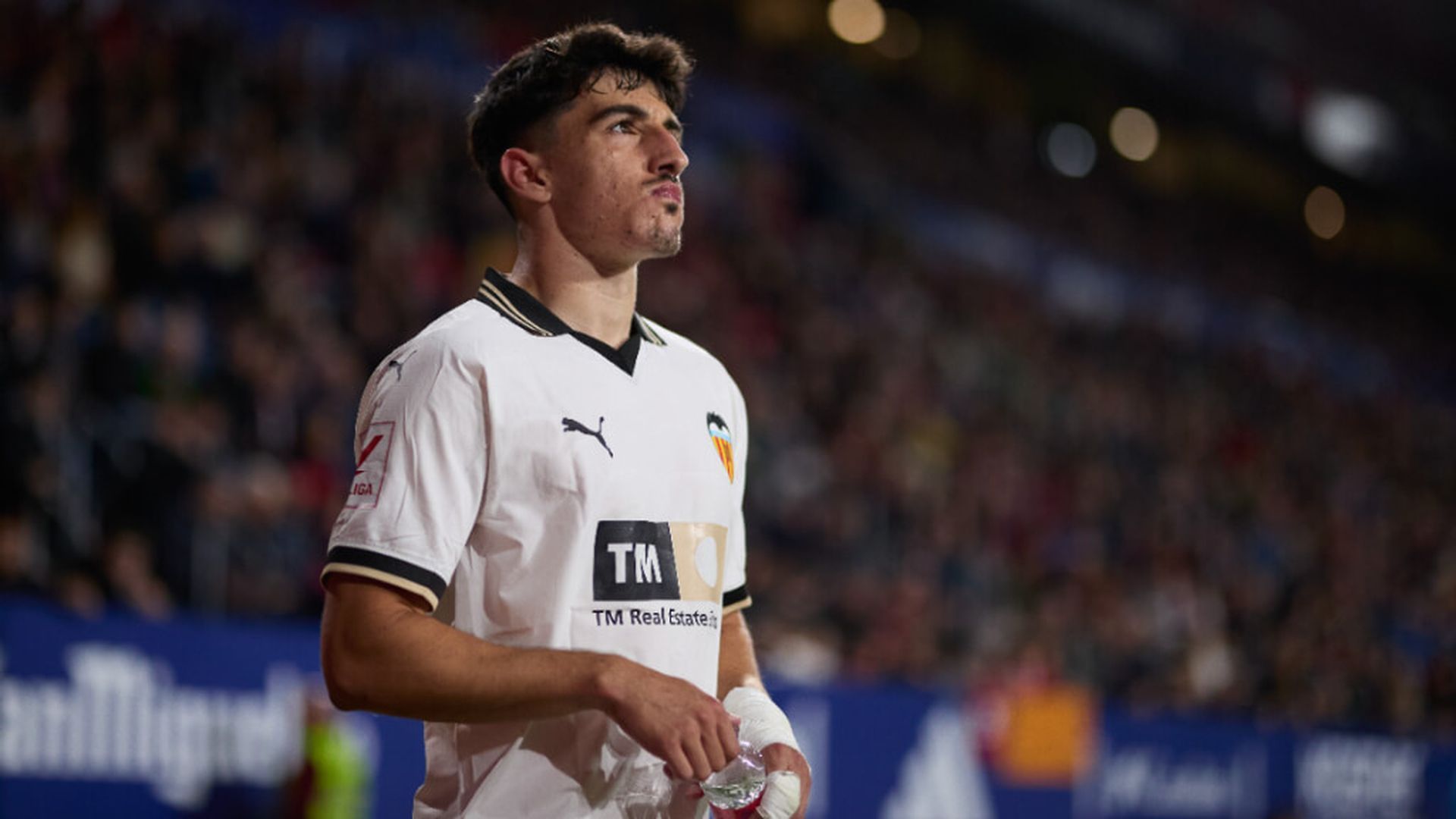 fotojet___2024_04_16t114036141jpg.jpg fotojet___2024_04_16t114036141jpg.jpg