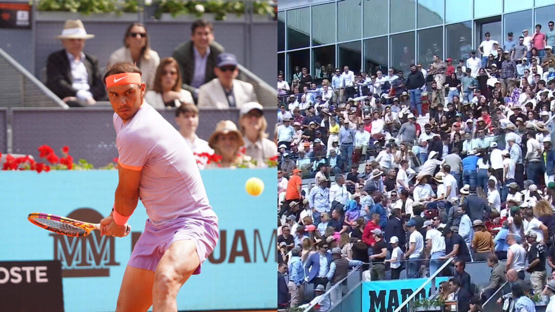 fotojet___2024_04_29t173607459jpg.jpg fotojet___2024_04_29t173607459jpg.jpg