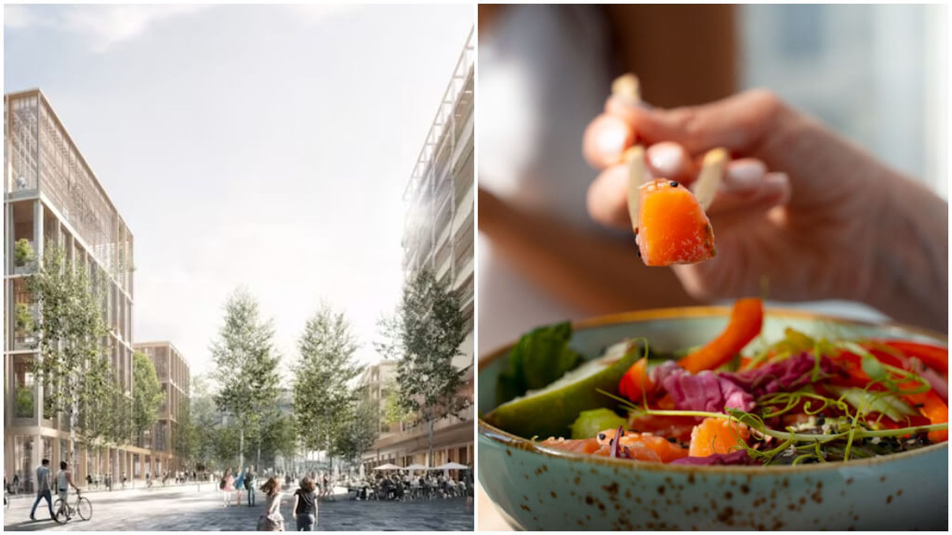 fotojet___2024_07_17t125408403jpg_001.jpg fotojet___2024_07_17t125408403jpg_001.jpg