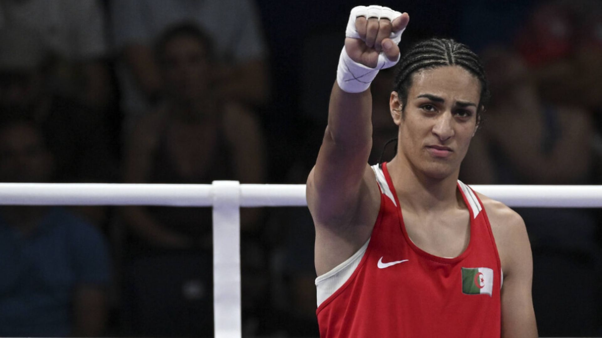 fotojet___2024_08_02t120354704jpg.jpg fotojet___2024_08_02t120354704jpg.jpg