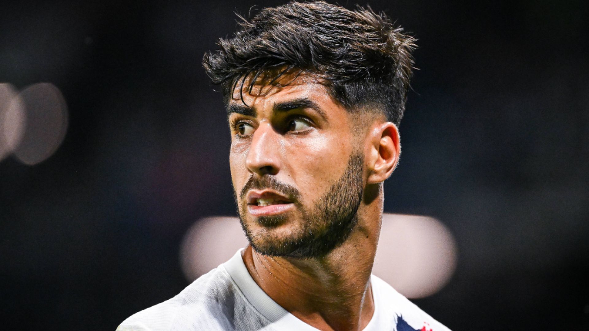 fotojet___2024_08_30t205522164.jpg fotojet___2024_08_30t205522164.jpg