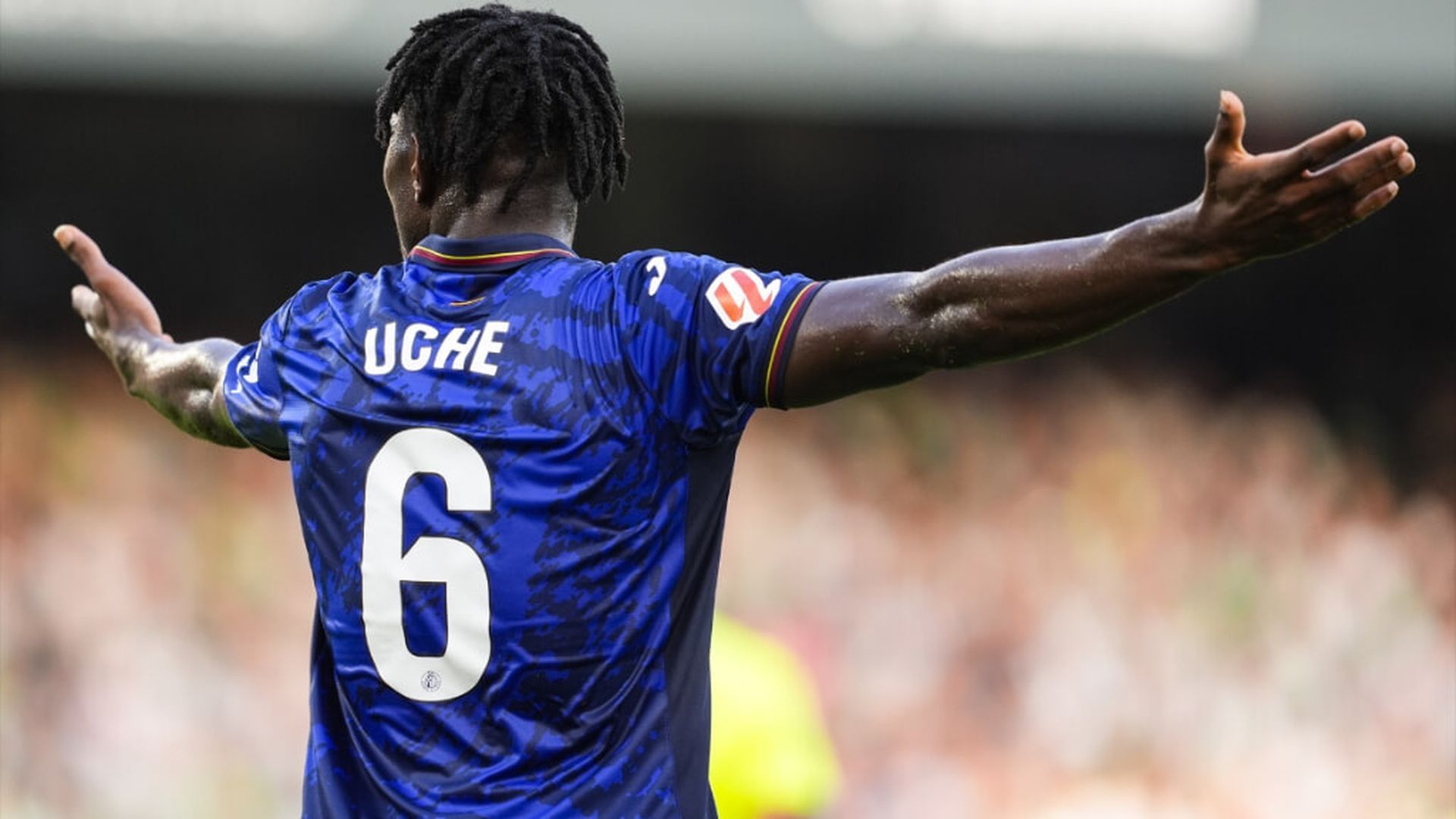 fotojet___2024_09_25t191033996jpg.jpg fotojet___2024_09_25t191033996jpg.jpg