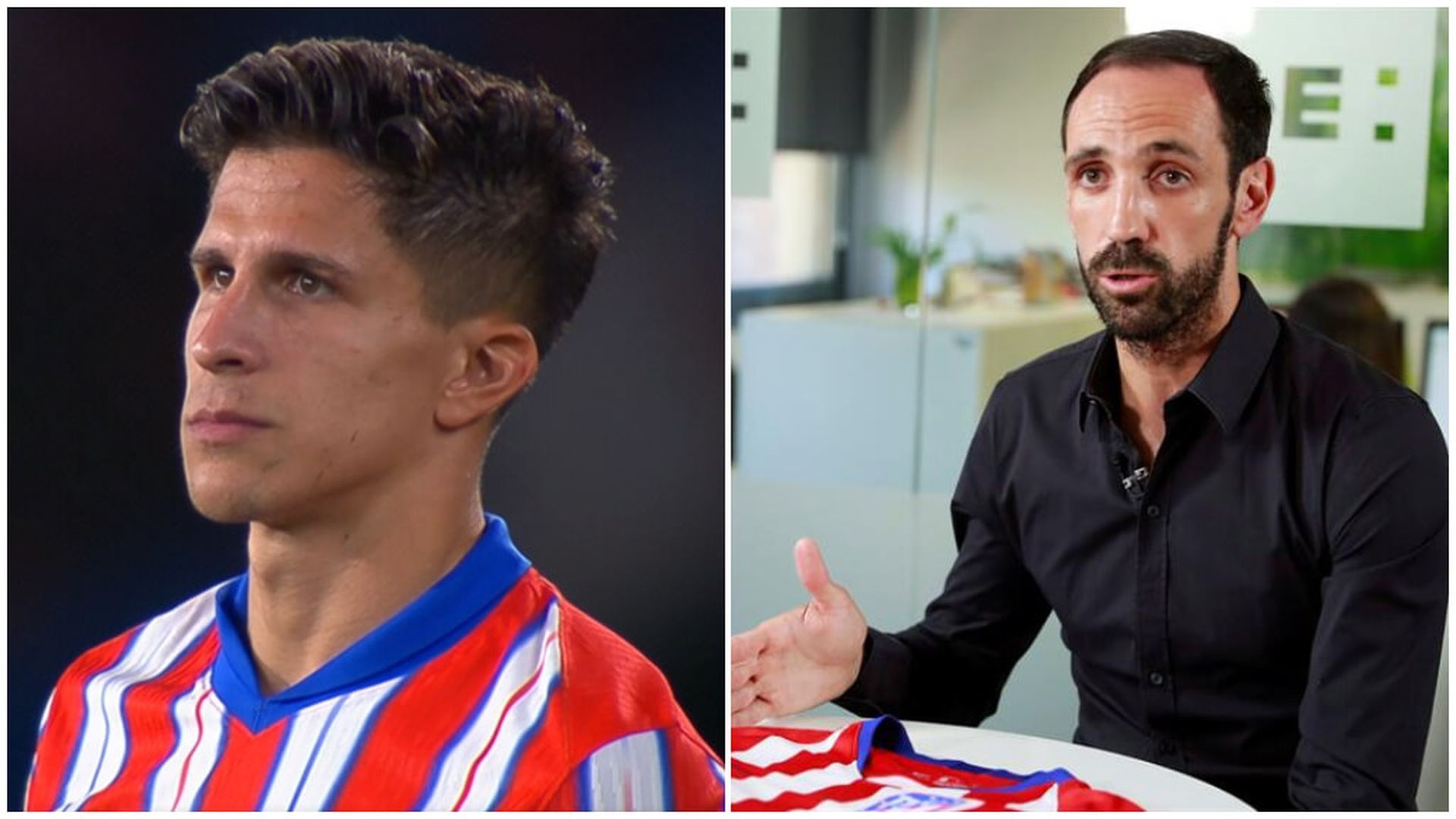 fotojet___2024_09_26t214928590jpg_001.jpg fotojet___2024_09_26t214928590jpg_001.jpg