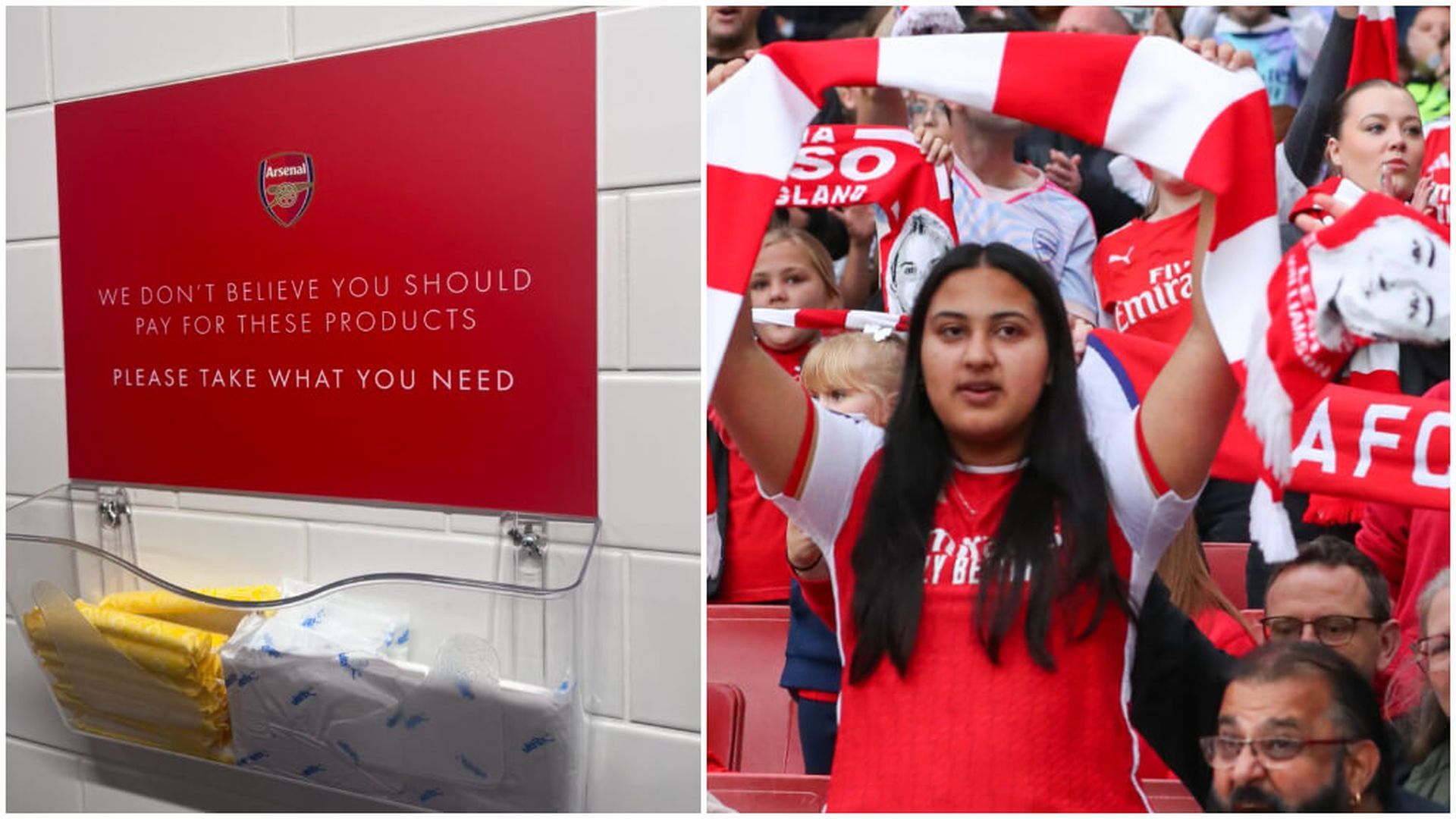 fotojet___2024_10_08t183048071jpg.jpg fotojet___2024_10_08t183048071jpg.jpg