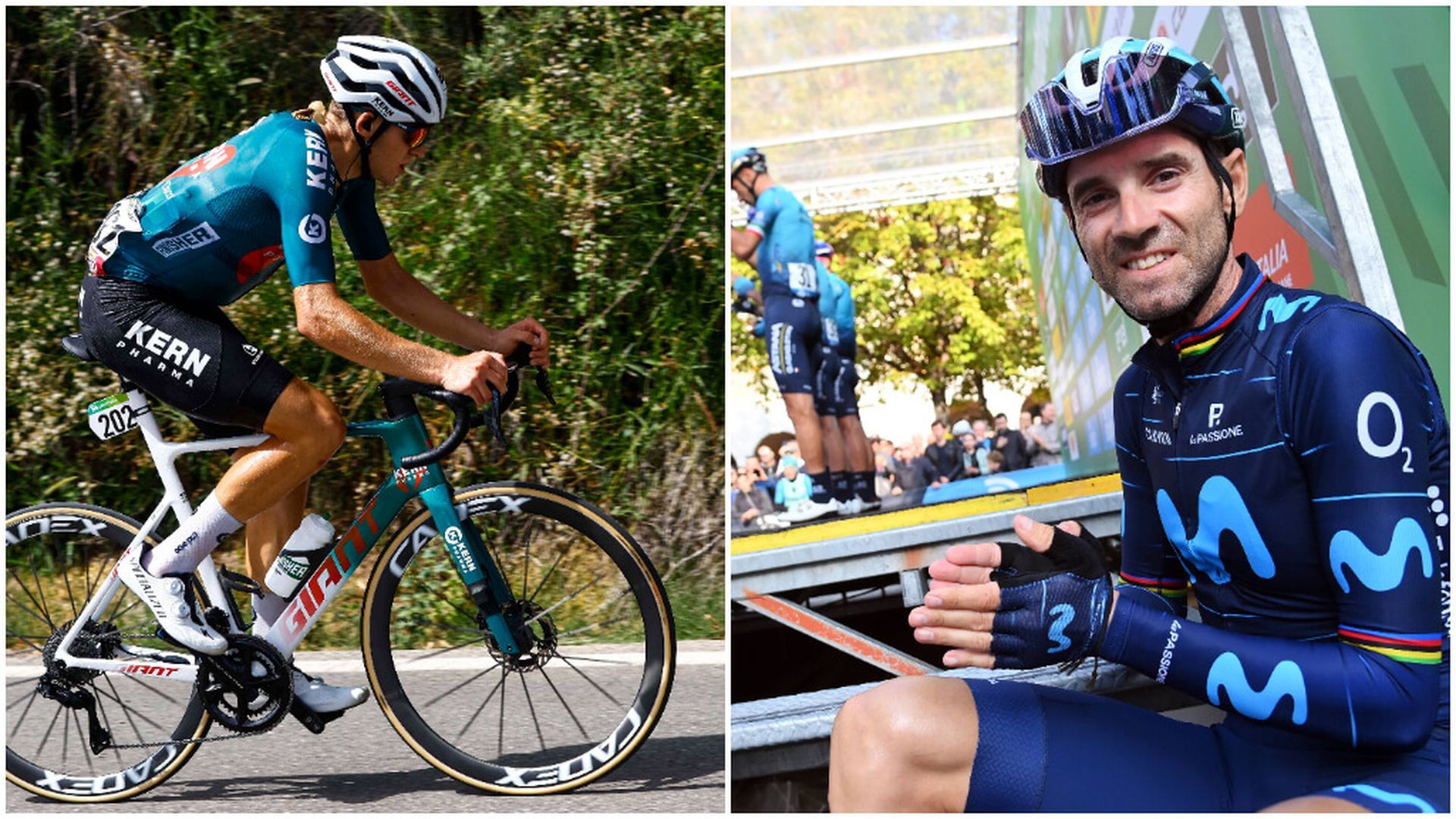 fotojet___2024_10_09t122050330jpg.jpg fotojet___2024_10_09t122050330jpg.jpg