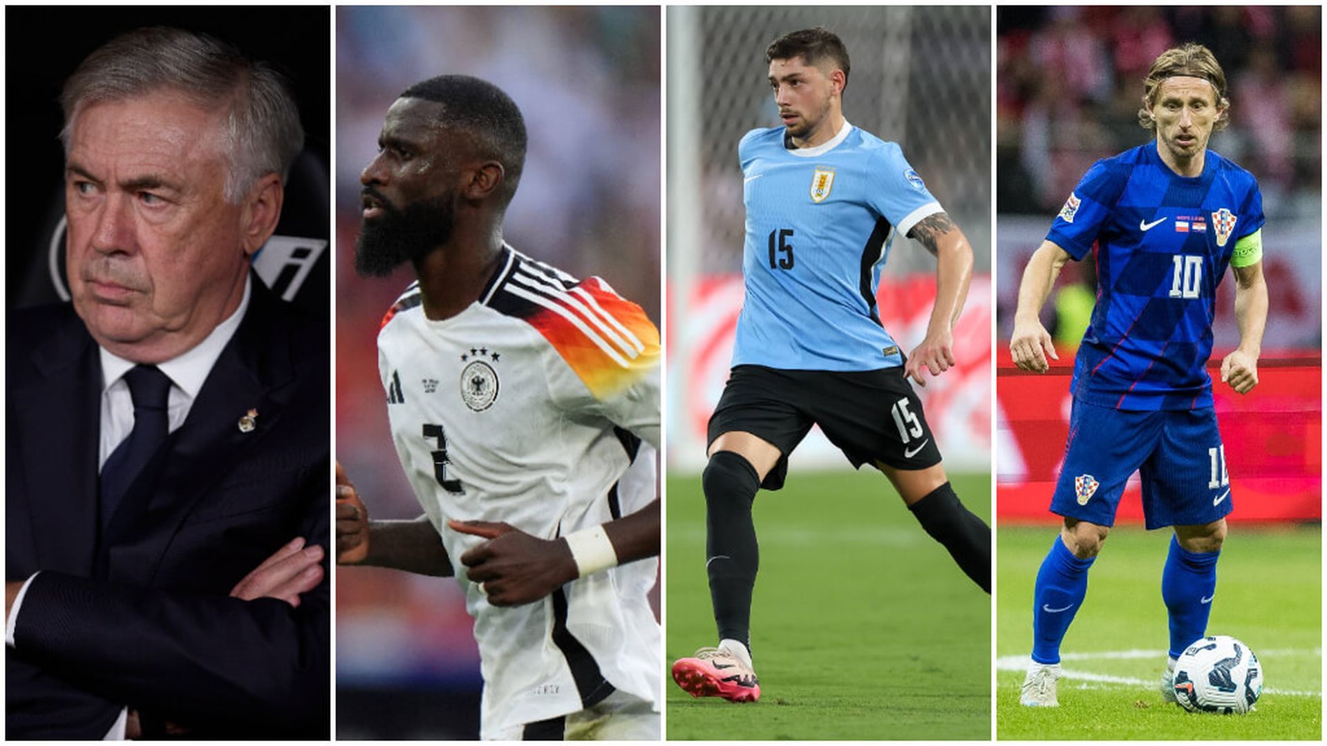 fotojet___2024_10_16t124051640jpg.jpg fotojet___2024_10_16t124051640jpg.jpg