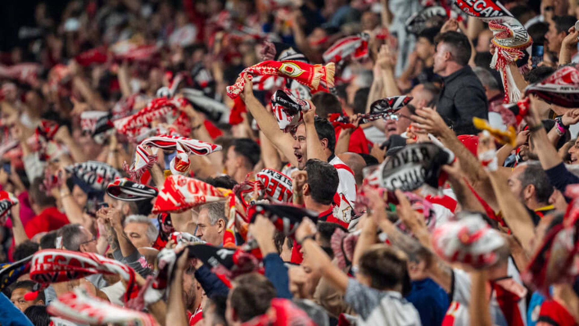 fotojet___2024_10_16t170459605jpg.jpg fotojet___2024_10_16t170459605jpg.jpg