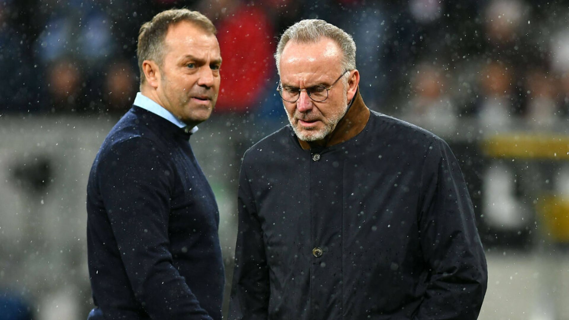 fotojet___2024_10_17t162147557jpg_001.jpg fotojet___2024_10_17t162147557jpg_001.jpg