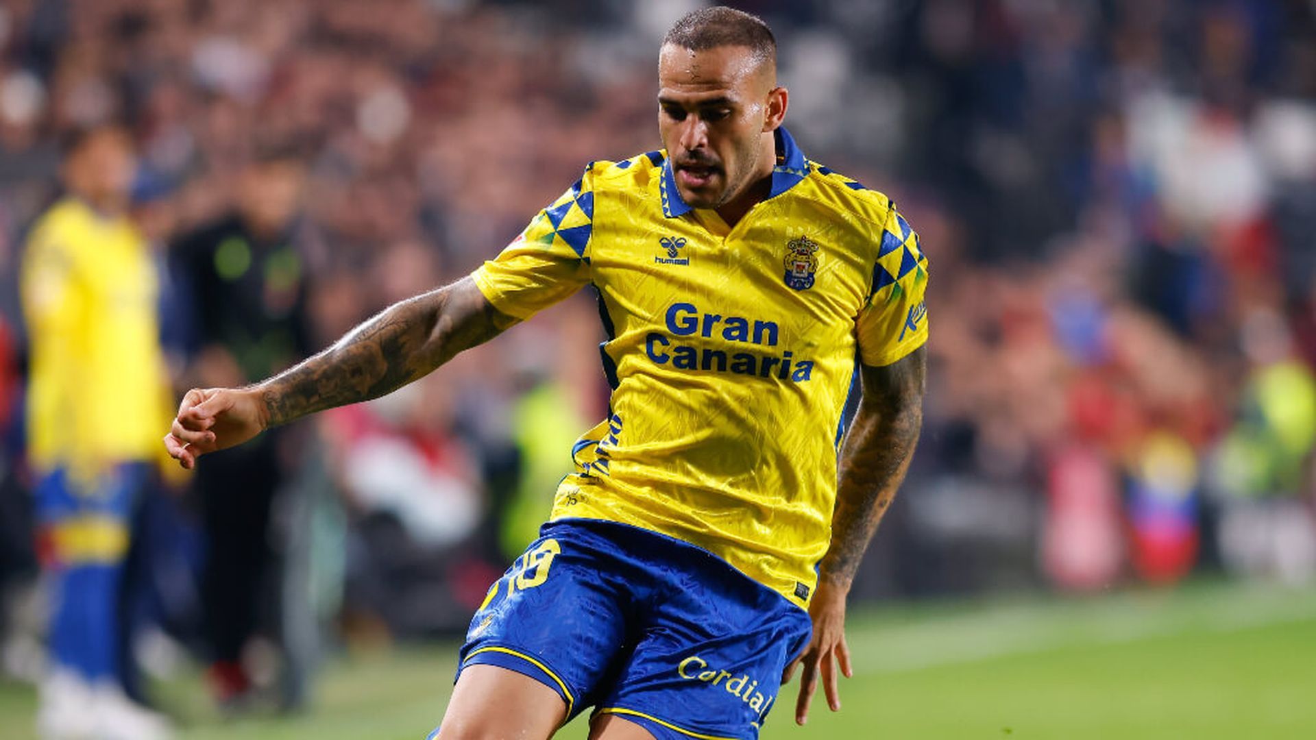 fotojet___2024_11_28t094726265jpg.jpg fotojet___2024_11_28t094726265jpg.jpg