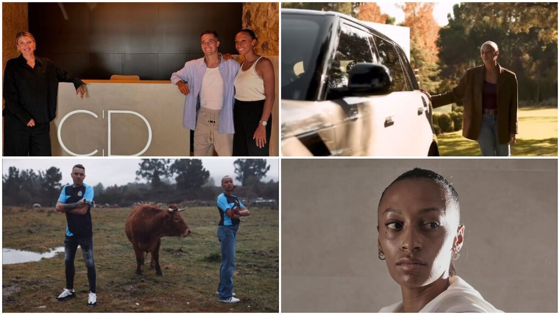 fotojet___2024_12_06t121433583.jpg fotojet___2024_12_06t121433583.jpg