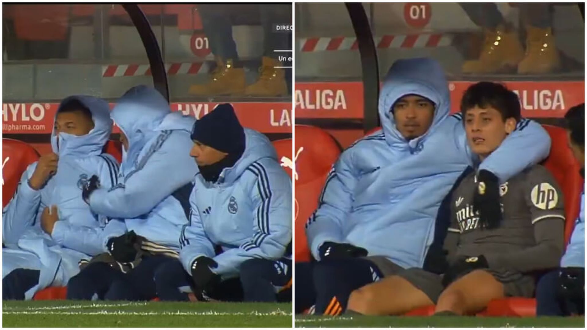 fotojet___2024_12_10t093809968jpg.jpg fotojet___2024_12_10t093809968jpg.jpg