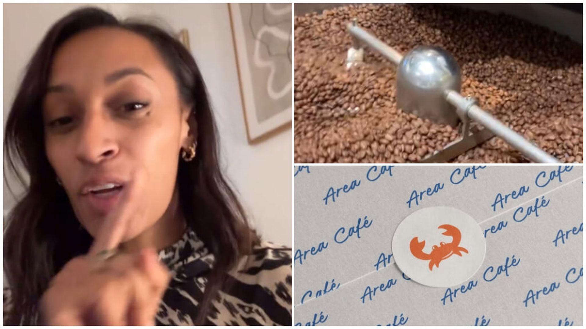 fotojet___2024_12_27t102444694.jpg fotojet___2024_12_27t102444694.jpg