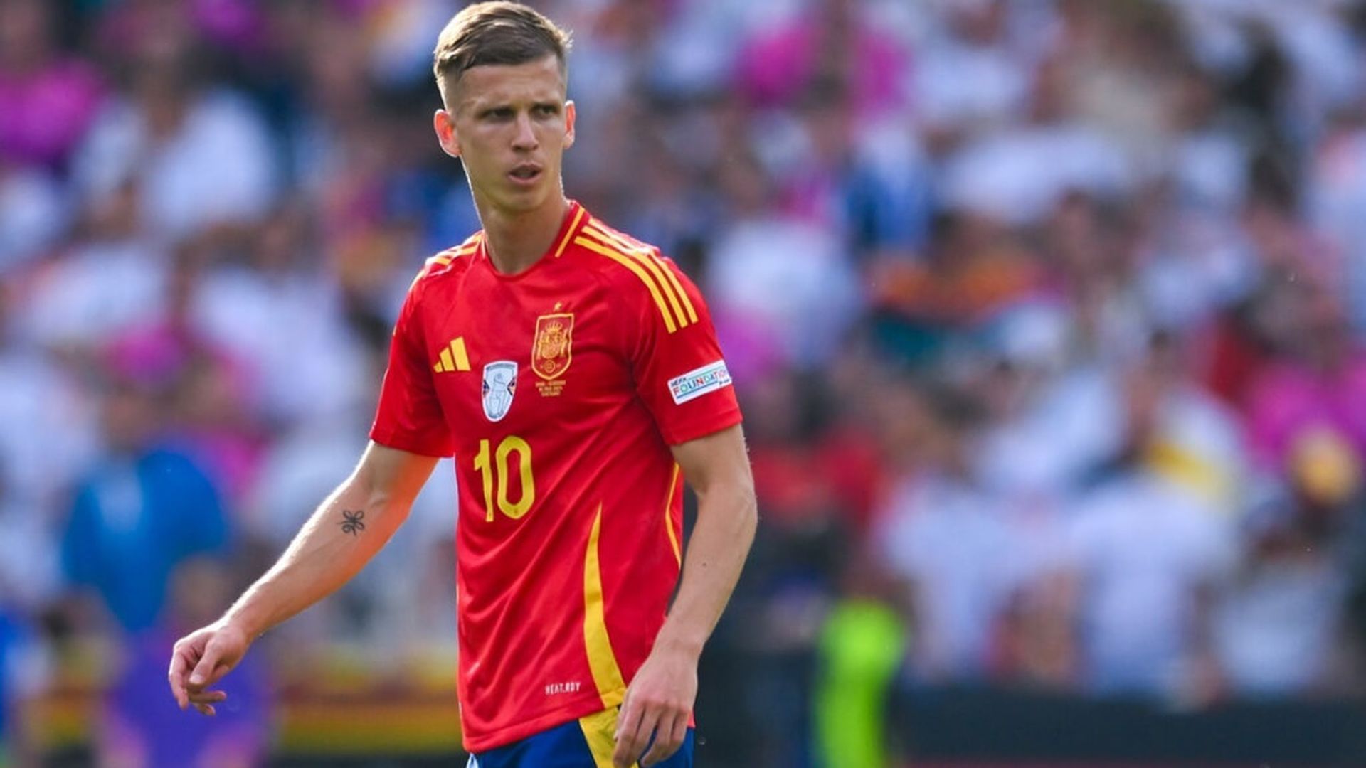 fotojet___2025_01_07t073503150jpg_001.jpg fotojet___2025_01_07t073503150jpg_001.jpg