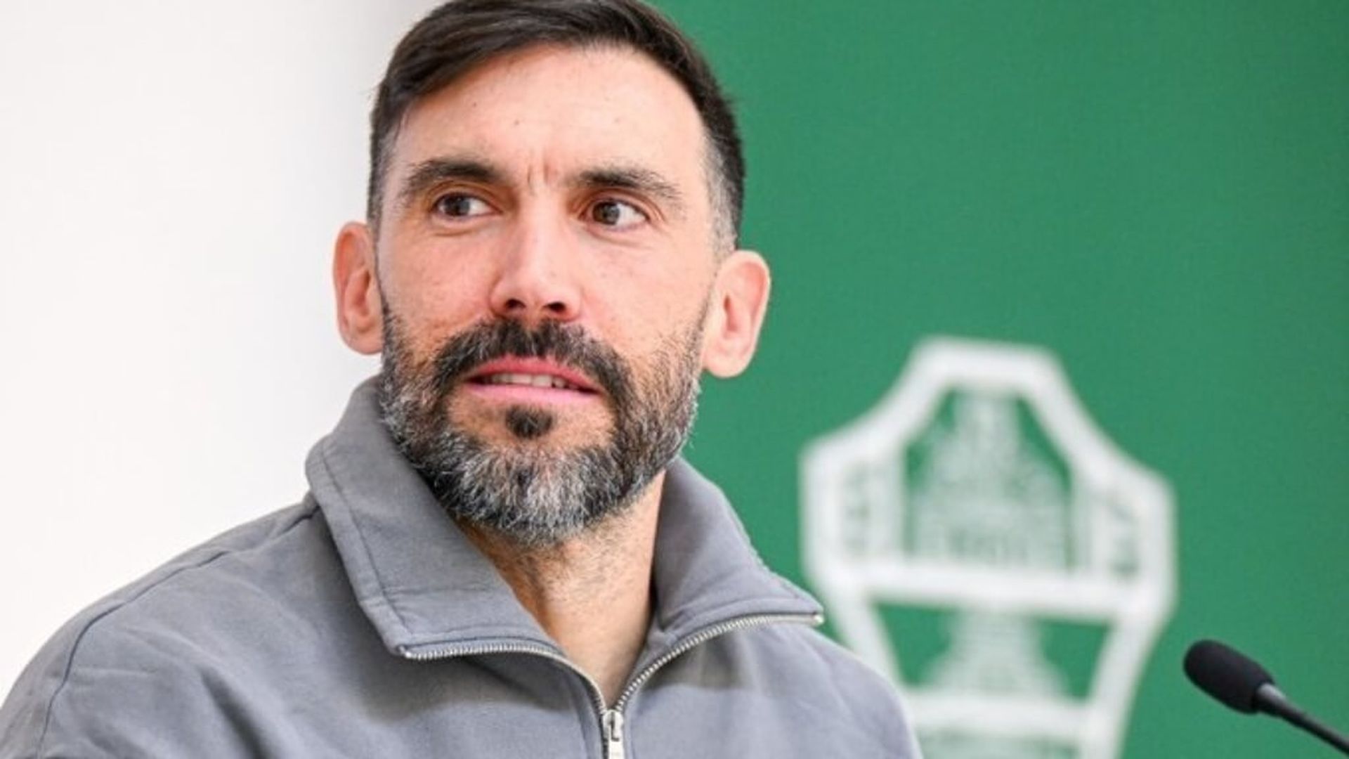 fotojet___2025_01_14t164706729jpg.jpg fotojet___2025_01_14t164706729jpg.jpg