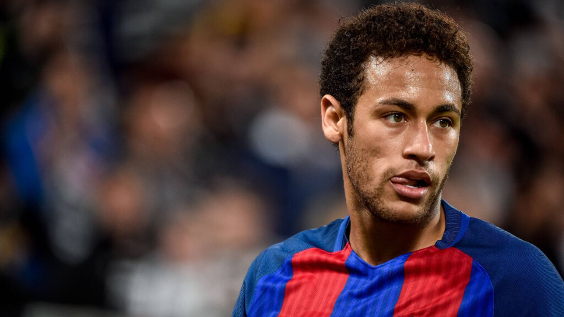 fotojet___2025_02_28t103757575jpg.jpg fotojet___2025_02_28t103757575jpg.jpg