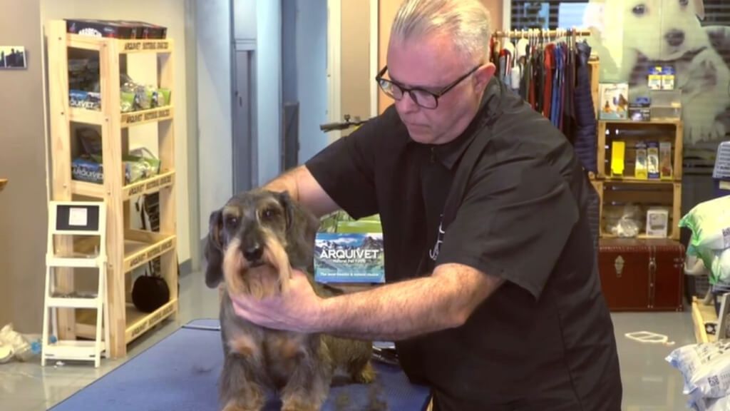 Dani, el cuidador de mascotas del Barça desde hace 30 años y sus anécdotas con Griezmann y Neymar