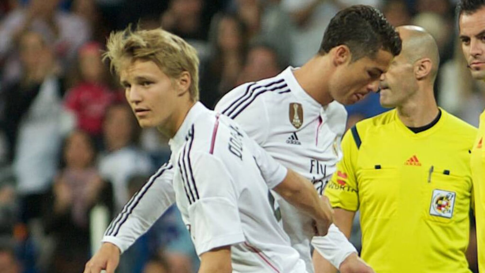 fotojet___2025_04_07t114534738jpg.jpg fotojet___2025_04_07t114534738jpg.jpg