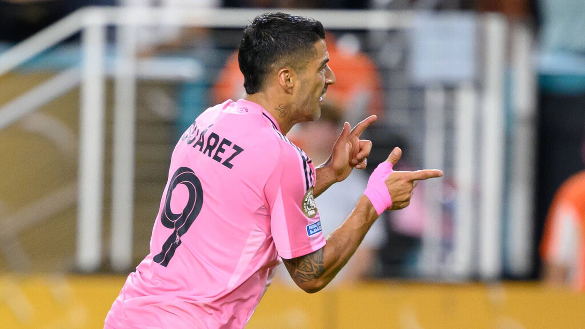 fotojet___2025_06_24t231623284jpg_001.jpg fotojet___2025_06_24t231623284jpg_001.jpg