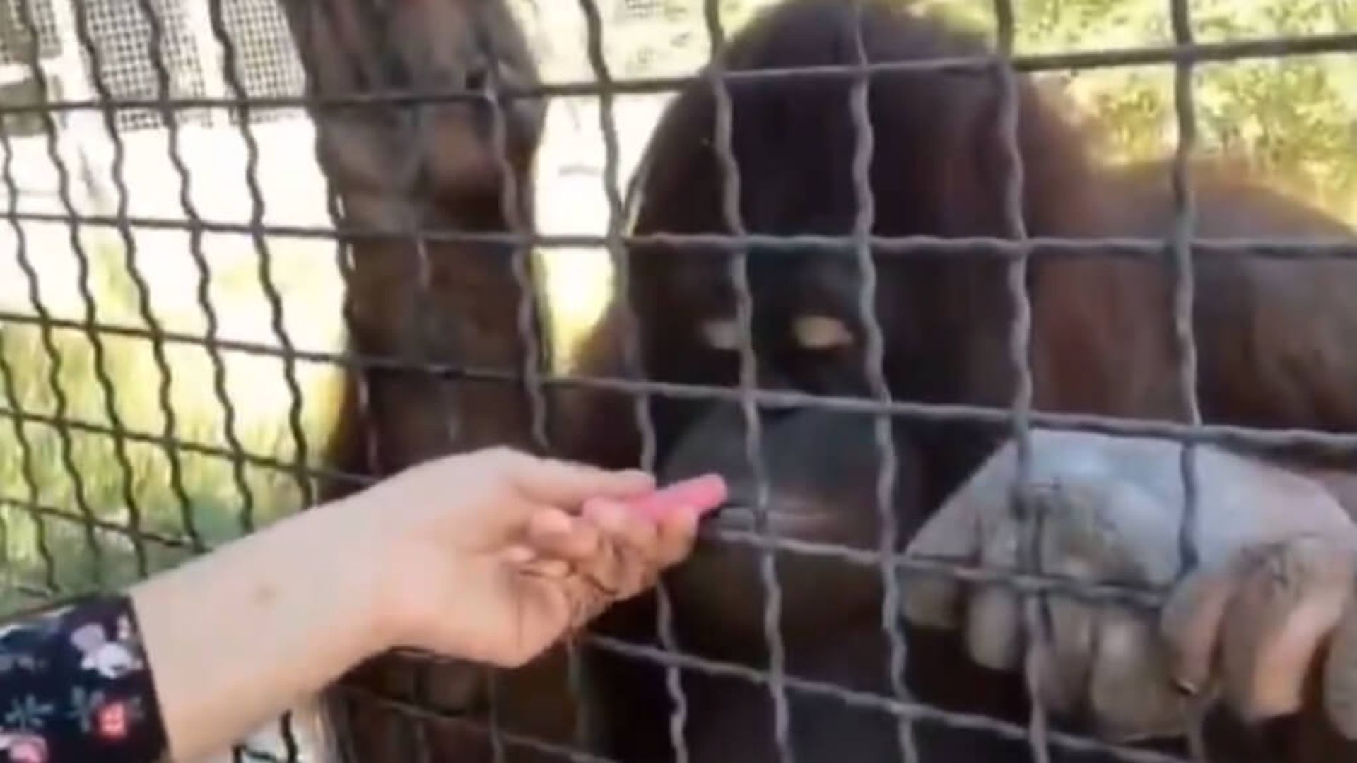 fotojet___2025_07_02t132833987jpg.jpg fotojet___2025_07_02t132833987jpg.jpg