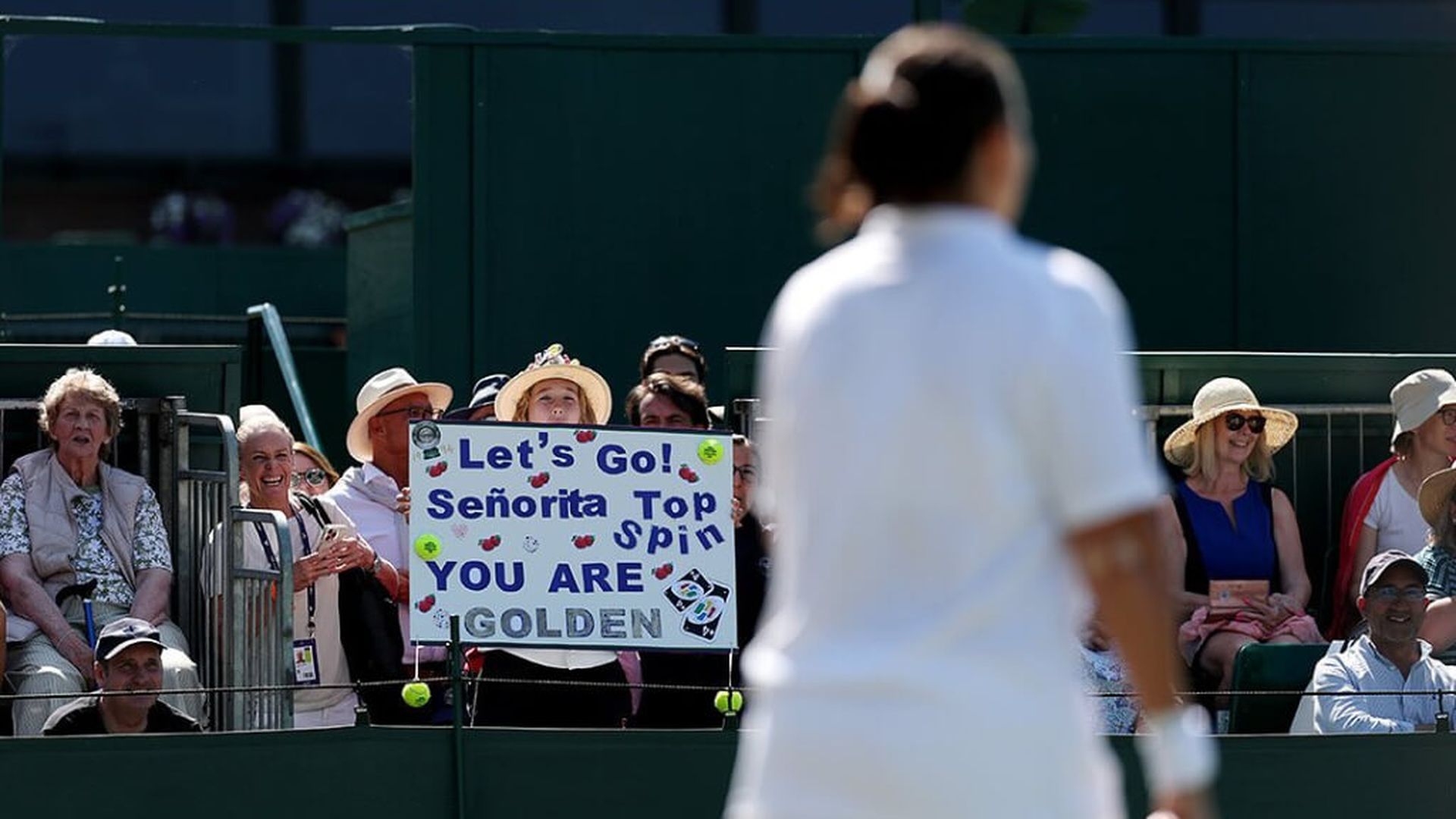 fotojet___2025_07_09t082830239jpg.jpg fotojet___2025_07_09t082830239jpg.jpg