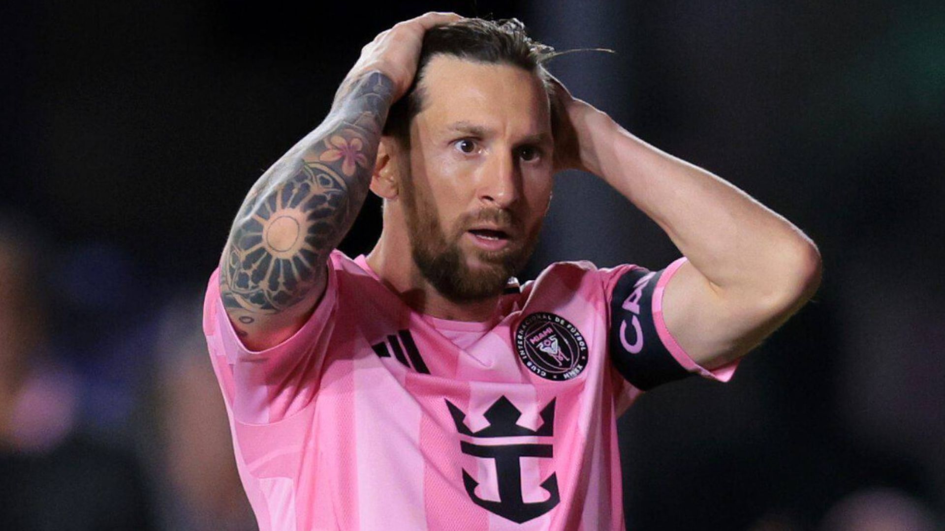 fotojet___2025_07_25t200753955jpg_001.jpg fotojet___2025_07_25t200753955jpg_001.jpg