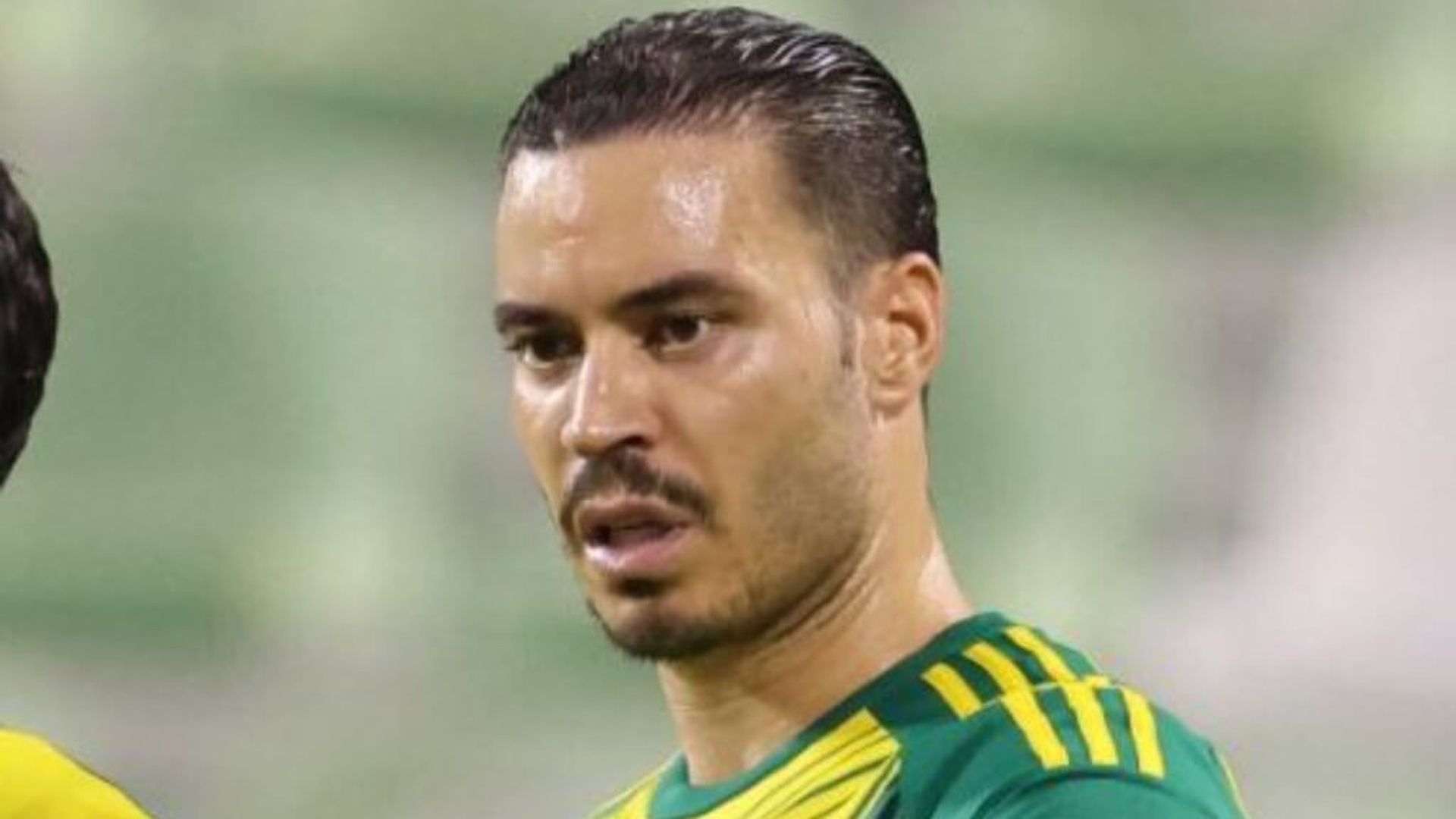 fotojet___2025_10_06t161304941jpg.jpg fotojet___2025_10_06t161304941jpg.jpg