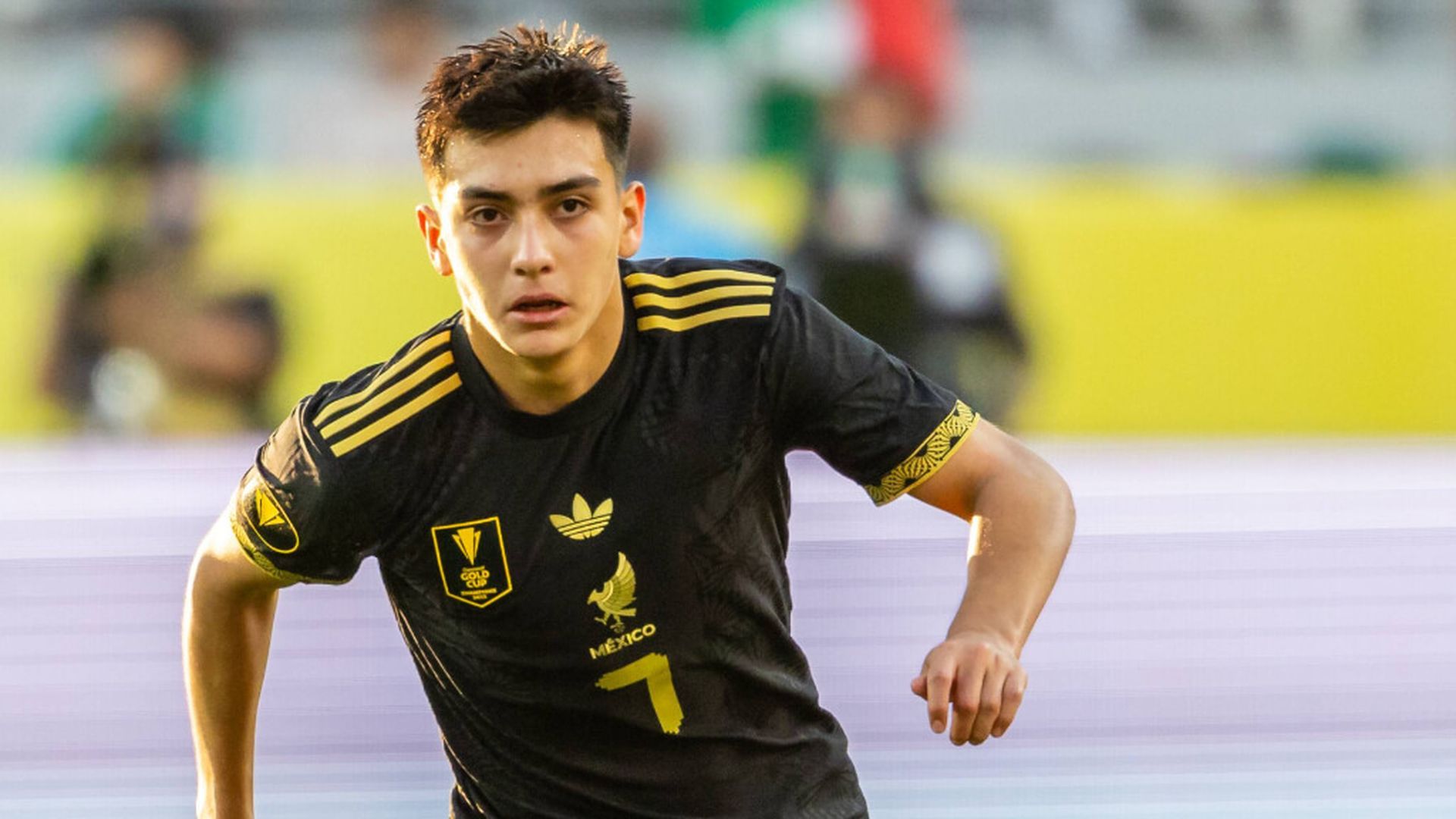 fotojet___2025_10_10t114636336jpg_001.jpg fotojet___2025_10_10t114636336jpg_001.jpg