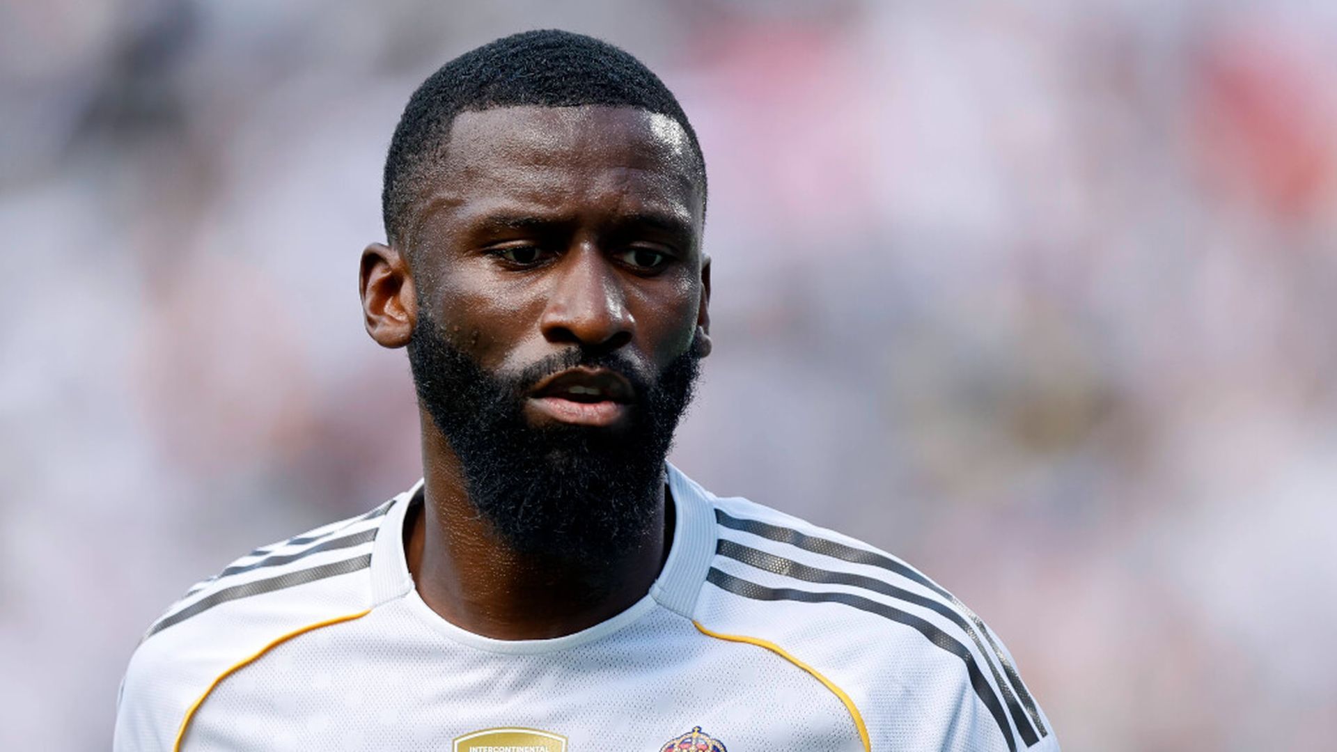 fotojet___2025_10_14t171211986jpg.jpg fotojet___2025_10_14t171211986jpg.jpg