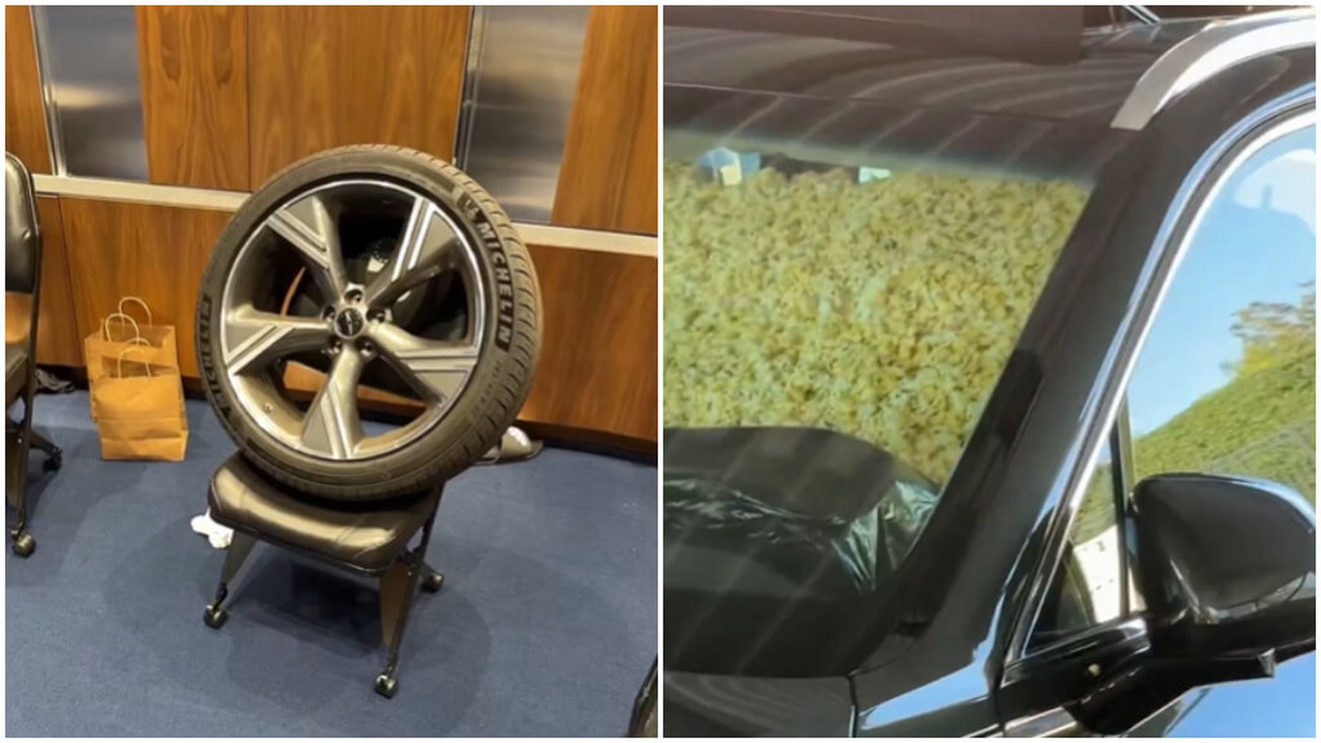 fotojet___2025_10_20t121457606jpg_001.jpg fotojet___2025_10_20t121457606jpg_001.jpg