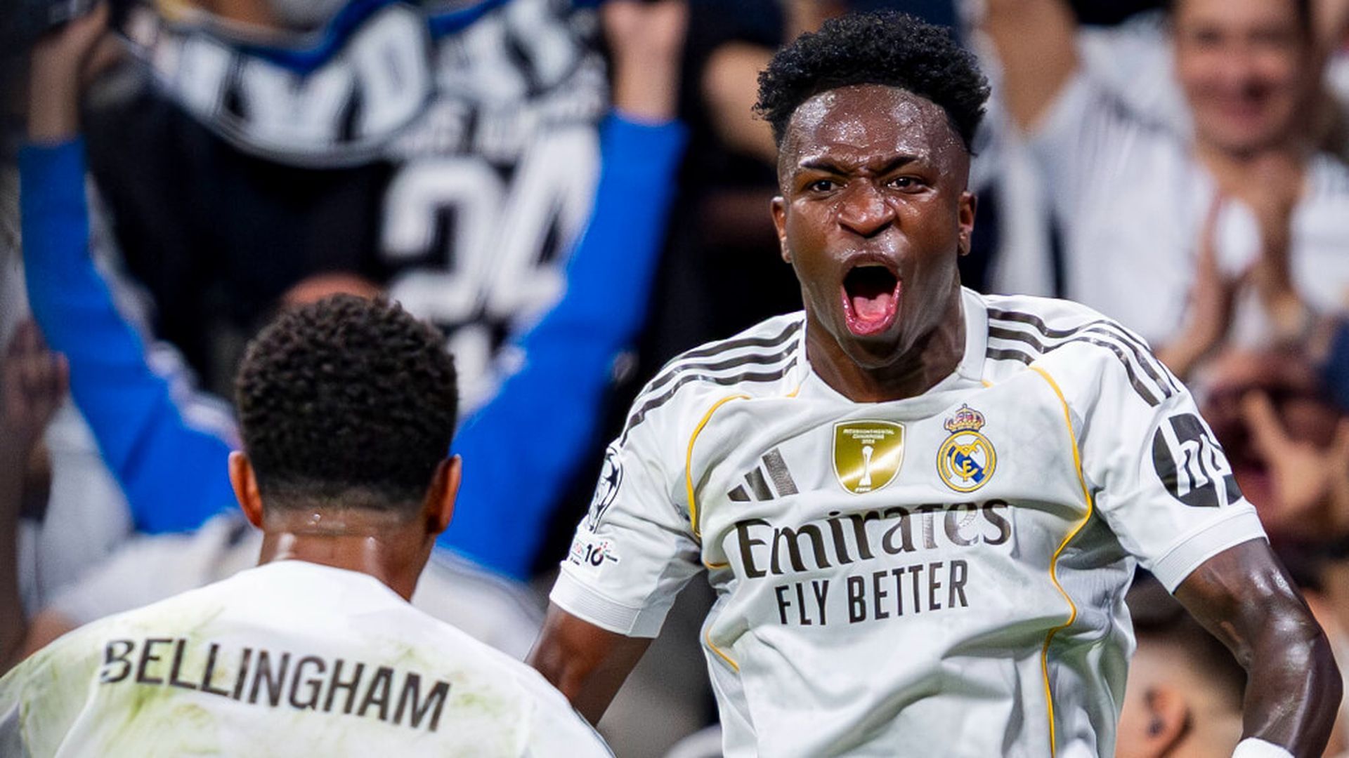 fotojet___2025_10_23t001100587jpg.jpg fotojet___2025_10_23t001100587jpg.jpg