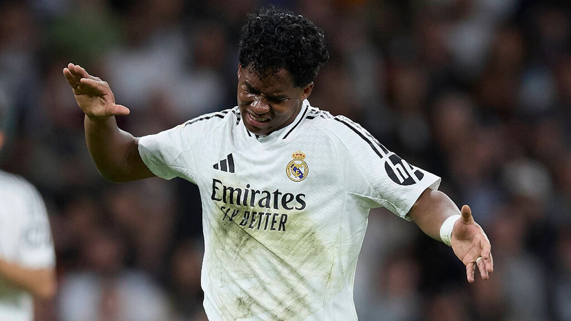 fotojet___2025_10_25t170357534jpg.jpg fotojet___2025_10_25t170357534jpg.jpg