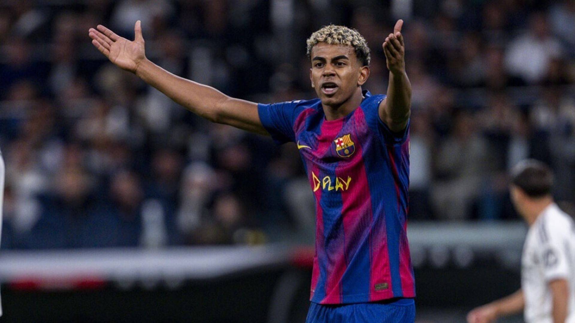 fotojet___2025_10_28t083517332jpg_001.jpg fotojet___2025_10_28t083517332jpg_001.jpg