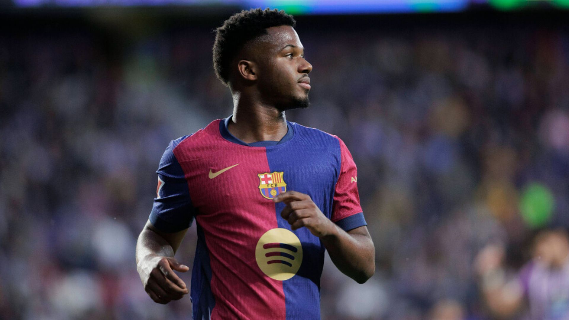 fotojet_33jpg.jpg fotojet_33jpg.jpg