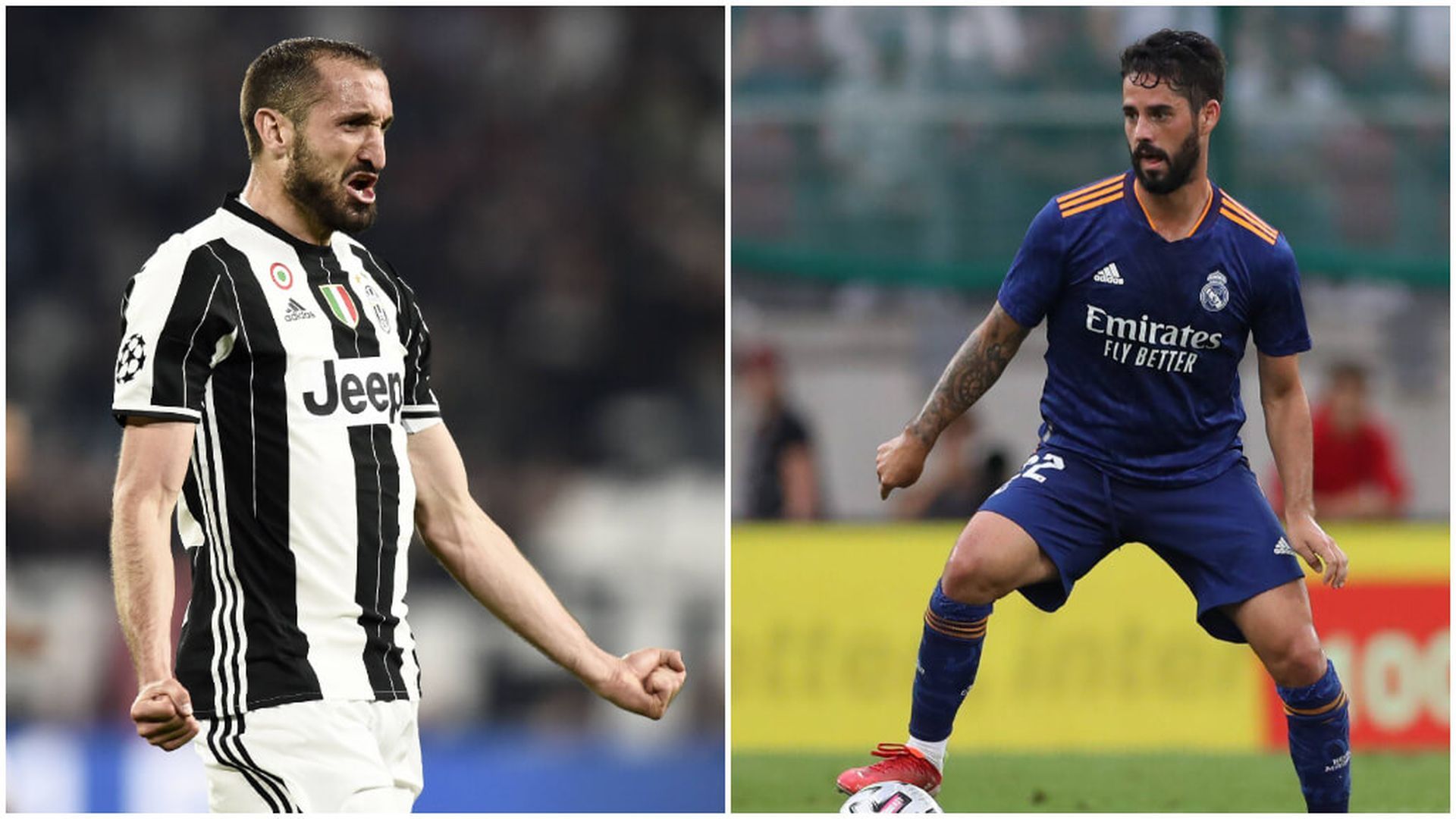 fotojet_37jpg.jpg fotojet_37jpg.jpg