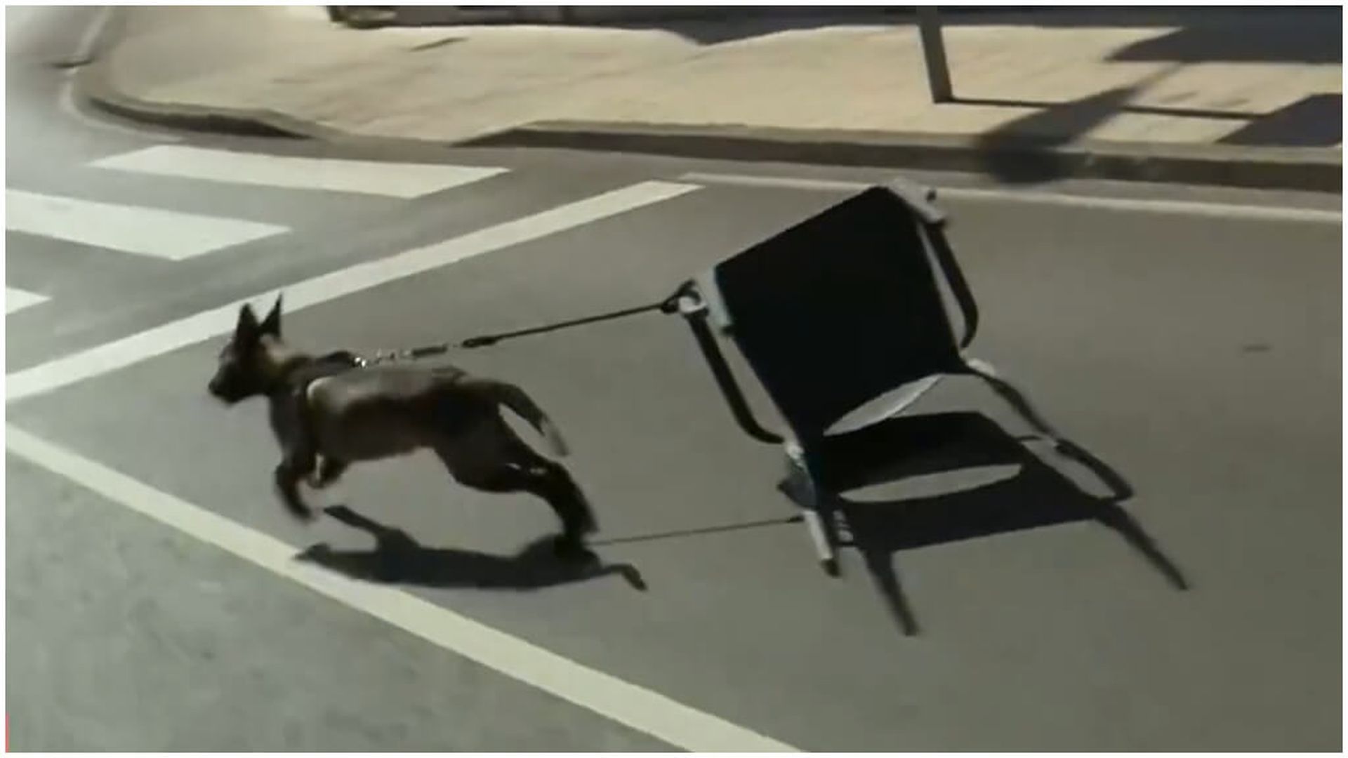 fotojet_48jpg.jpg fotojet_48jpg.jpg