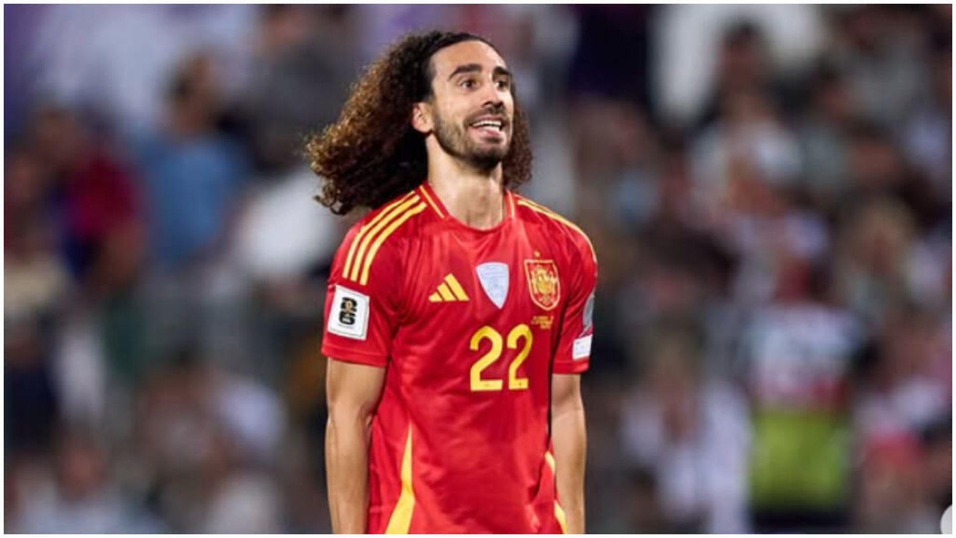 fotojet_51jpg_001.jpg fotojet_51jpg_001.jpg