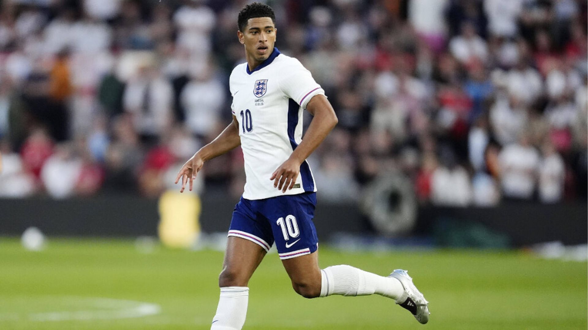 fotojet_59jpg.jpg fotojet_59jpg.jpg