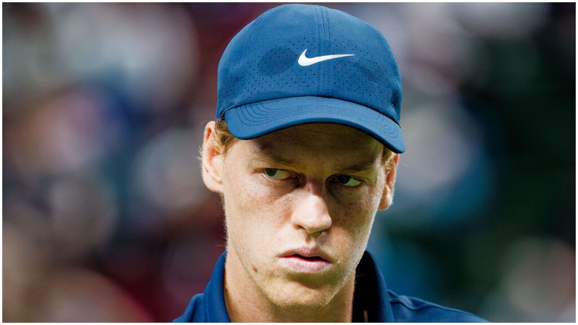 fotojet_81jpg.jpg fotojet_81jpg.jpg