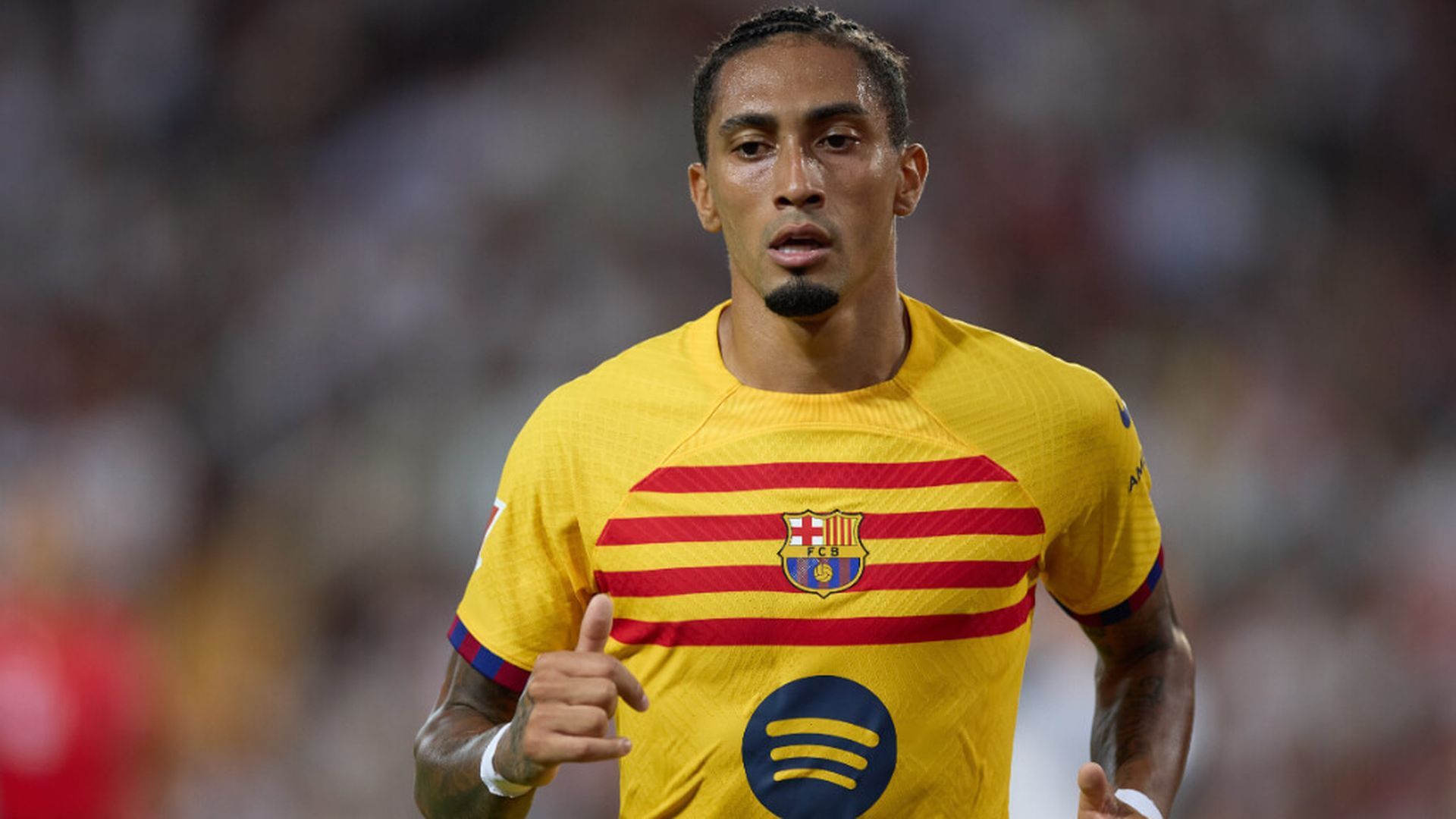 fotojet_82jpg_001.jpg fotojet_82jpg_001.jpg