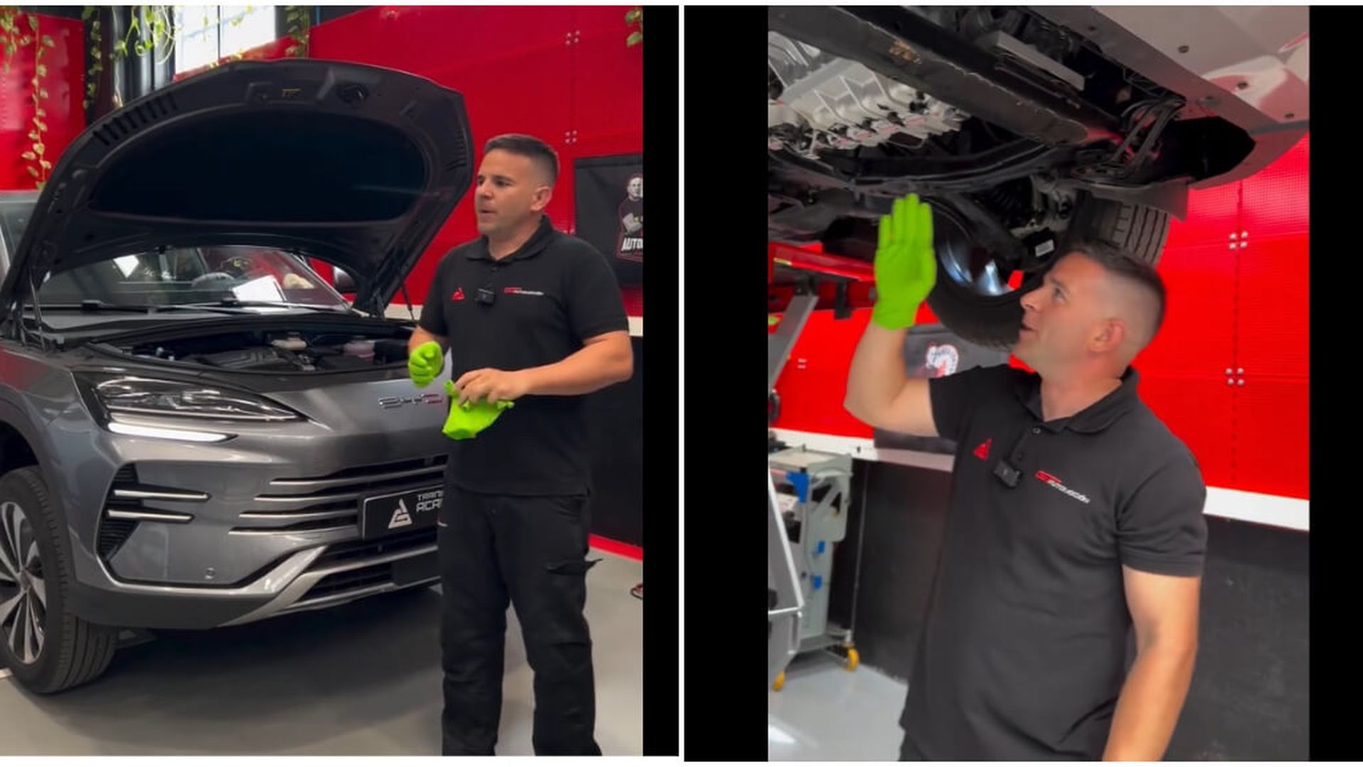 fotojet_86jpg.jpg fotojet_86jpg.jpg