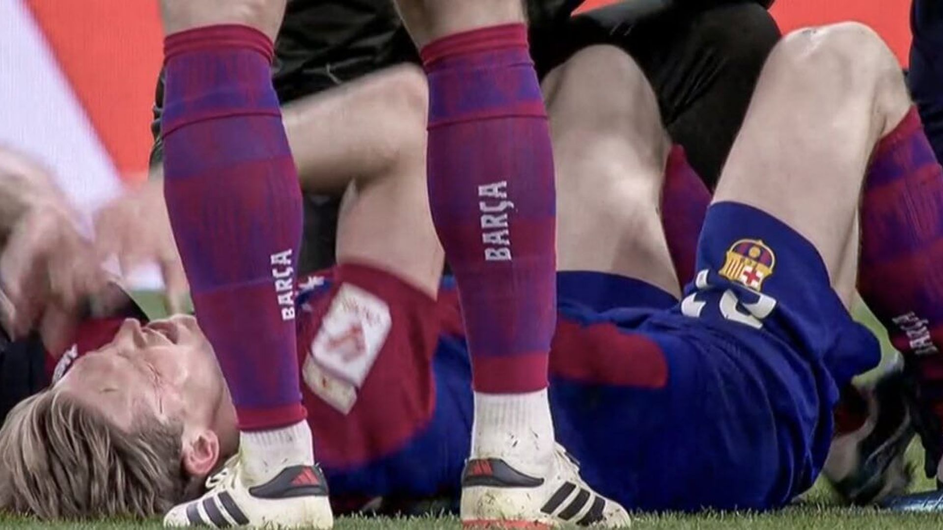 frenk2.jpg frenk2.jpg