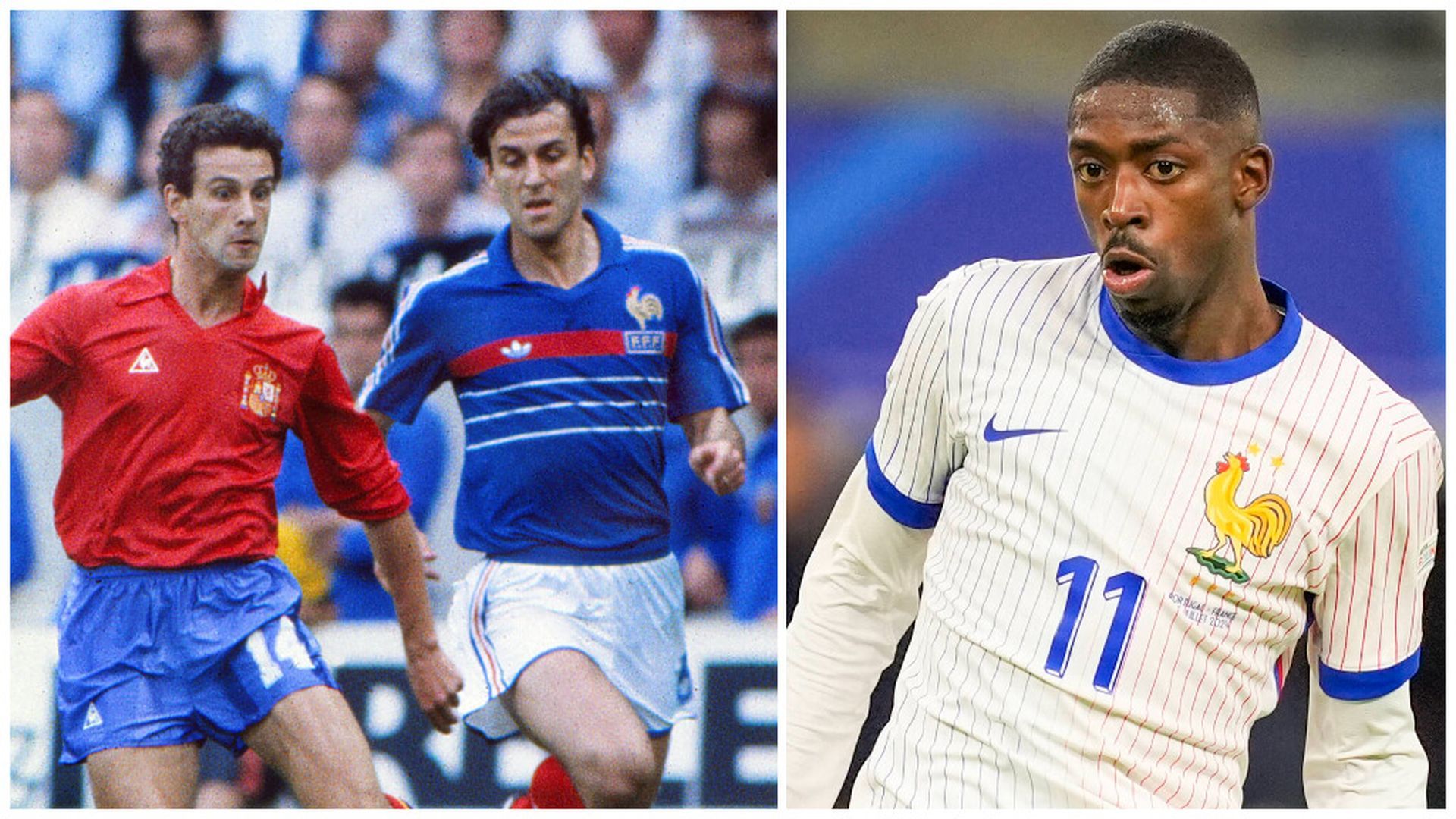 gallojpg.jpg gallojpg.jpg