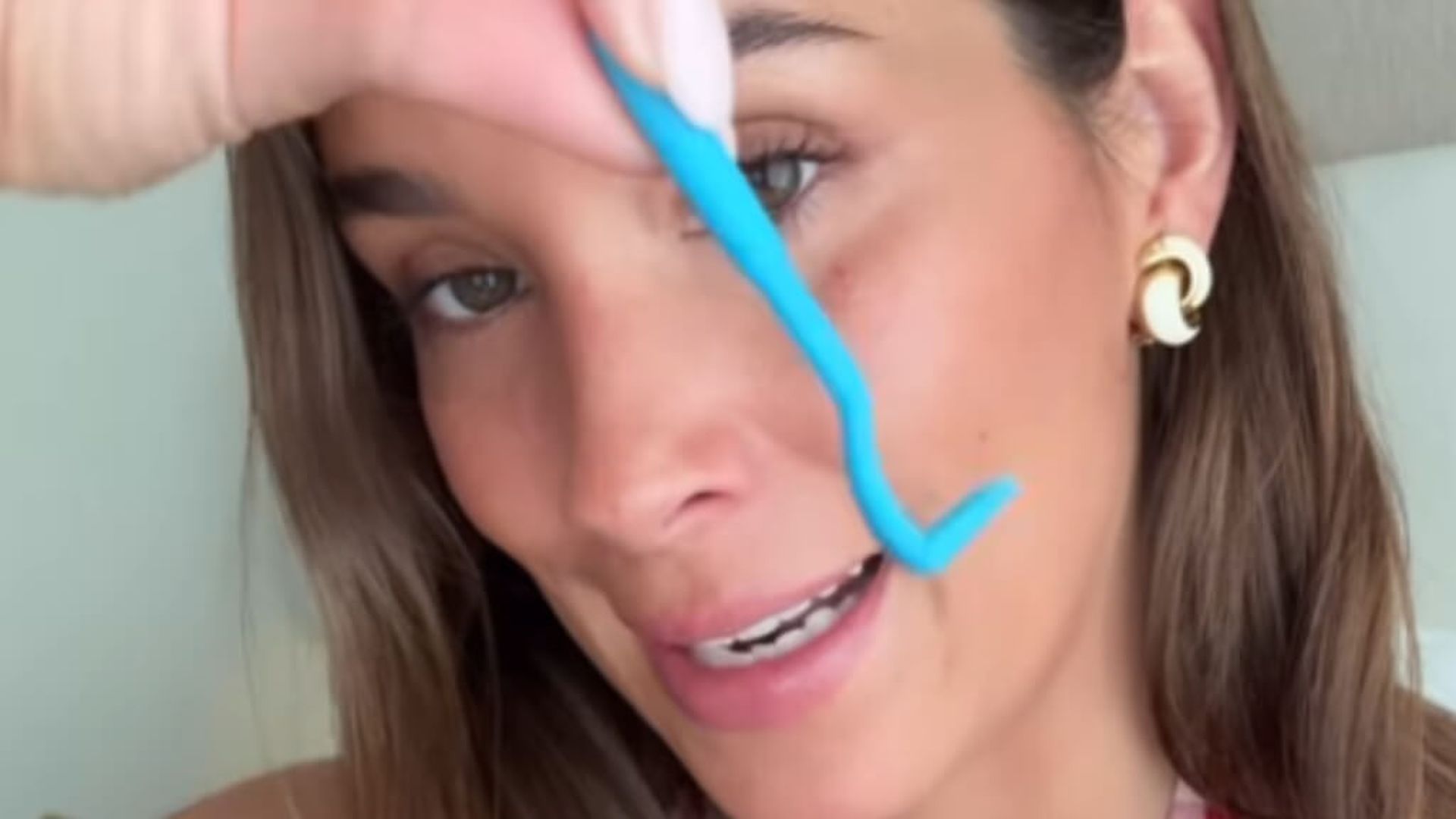 garrapatas_mariapombojpg.jpg garrapatas_mariapombojpg.jpg