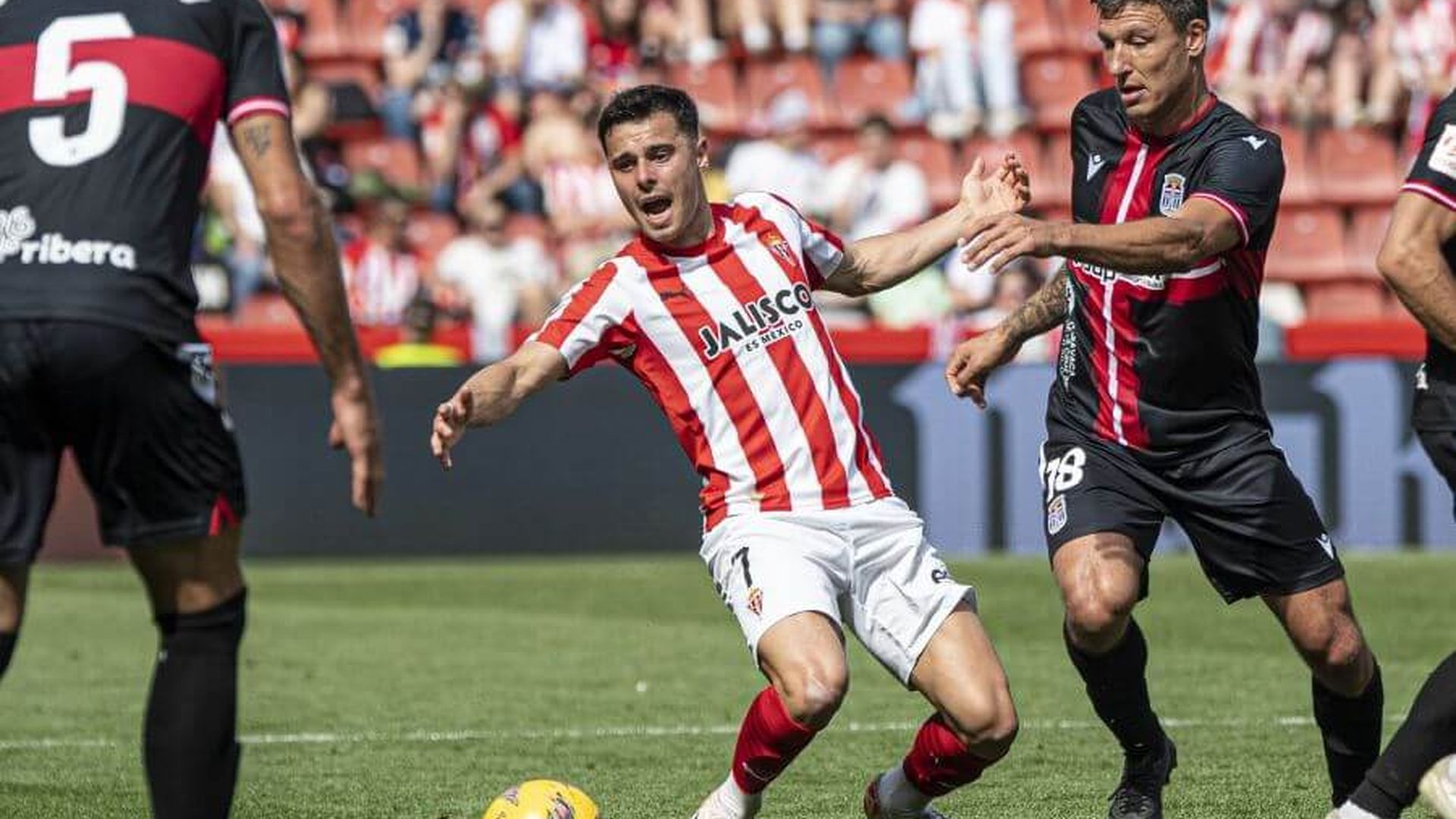 gaspar_campos_durante_el_sporting___cartagena_foto_laliga_001.jpeg gaspar_campos_durante_el_sporting___cartagena_foto_laliga_001.jpeg