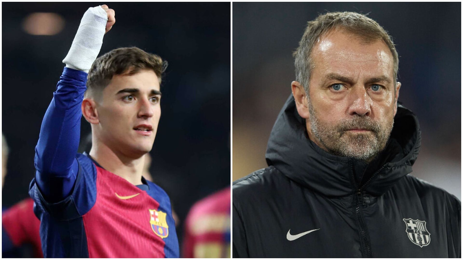 gavi_flickjpg_001.jpg gavi_flickjpg_001.jpg