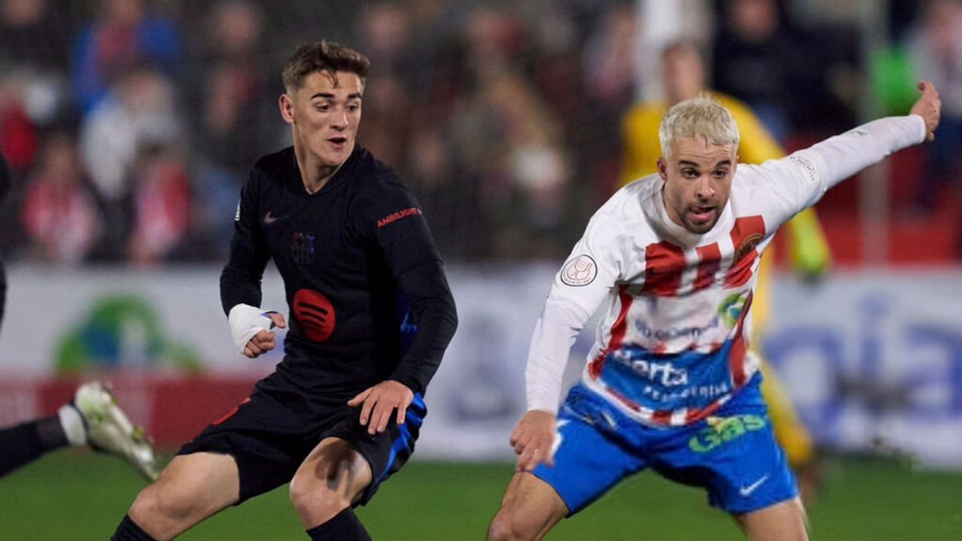 gavi_vendajpg_001.jpg gavi_vendajpg_001.jpg