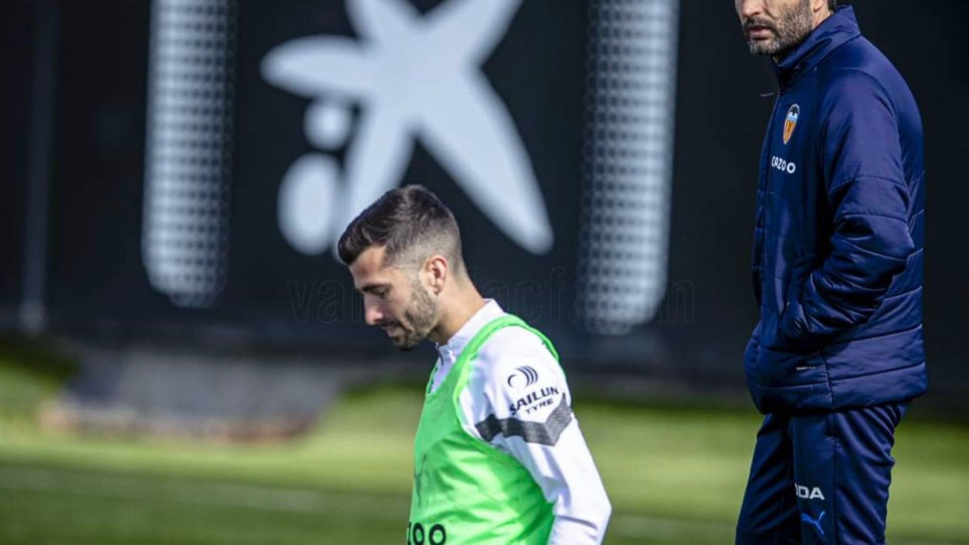 gaya_esta_listo_001.png gaya_esta_listo_001.png