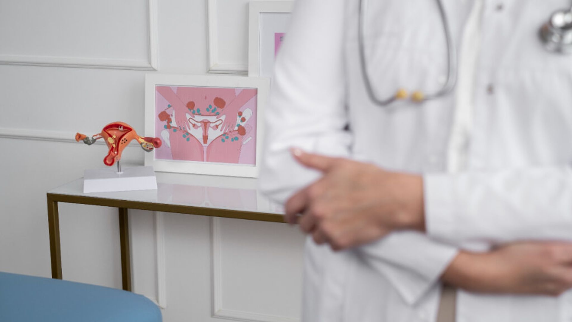 ginecologiajpg.jpg ginecologiajpg.jpg