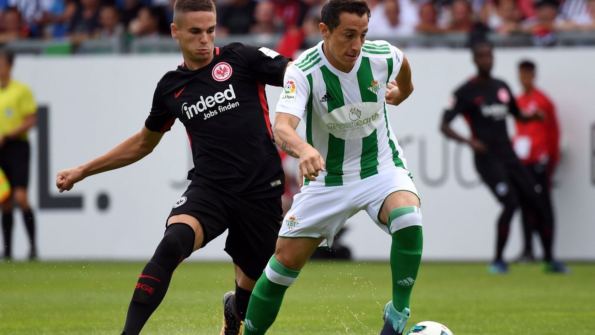 guardado.jpg